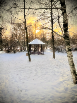 Зимний день / Зима в парке