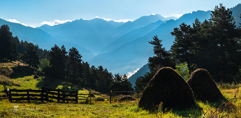 Запах скошенного луга / Солнечный день, наполненный запахом скошенной травы, в горах над Тебердой. 
Осень, 2020 год. 
Из фотопроекта «Кавказ без границ».