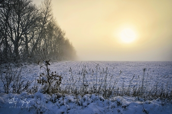  / Feld im Winter mit Schnee und Nebel