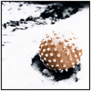 Сфера / Потеряла мячик, Маша