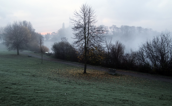 Утро туманное / ***