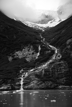  / Endicott Arm Fjord, Alaska