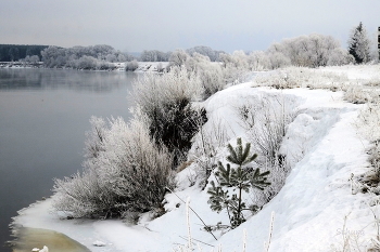 На берегу Оки. / ***