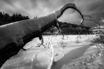 Утро / Где - то