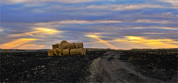 Осеннее поле / Осень на Южном Урале