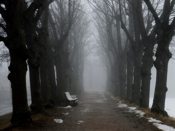 В весеннем парке..... / Петергоф. Красный пруд. Март