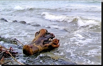 ШТОРМ УХОДИТ / ЧЁРНОЕ МОРЕ