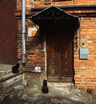 Двор красного дома / с предыдущей фотографии