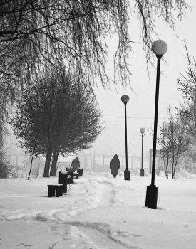 Снегопад / Улица города