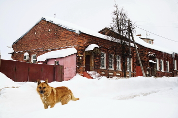 Рыжий сторож. / Зима на старой улице.