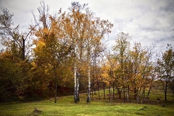 Краски Осени / ...