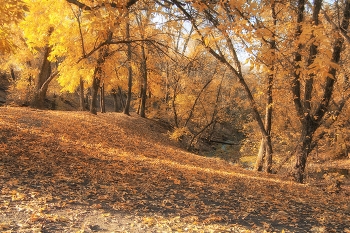 Осеннее утро / ...