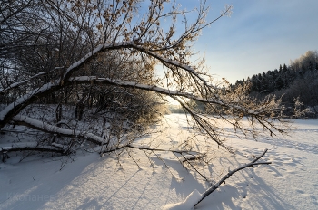 Утро / Декабрь
