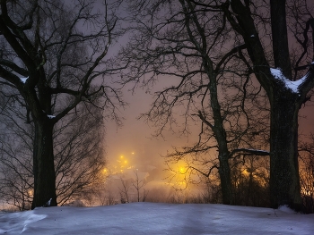 Зимний вечер и туман / .....