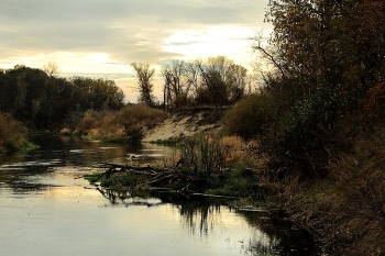 Медведица / Есть такая река в Саратовской области