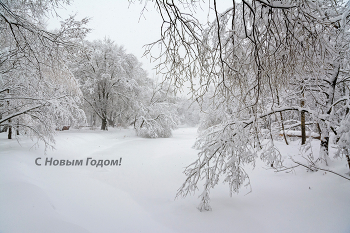 С Новым Годом! / Зима, Москва, парк