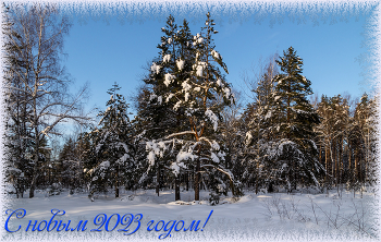 С новым годом! / С новым годом!