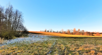 В последних числах октября ... / Осенний этюд ...