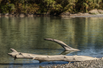Река Кубань / Краснодарский край