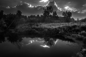 &nbsp; / Летний пейзаж