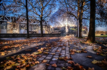 Осень в парке / Парк Ля Вилетт Париж