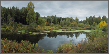 Осенняя тишина / Окрестности Карабаша, середина сентября