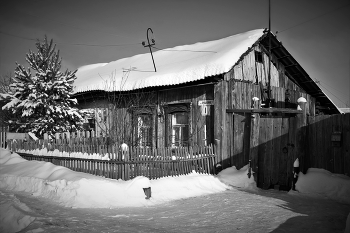 Воробьиная обитель / Улица Пушкина. Старенький дом.
Сосенку, помню, сажали с отцом.
Детские годы давно утекли,
Лишь, как и прежде, сидят воробьи.