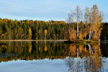 Утром осенним.... / Петербург. Осиновая Роща. Октябрь