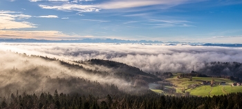 &nbsp; / Nebel imRheintal an der Schweizer Grenze