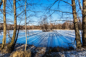 Тени / п.Ильинское,Татарстан,Зеленодольский р-он
