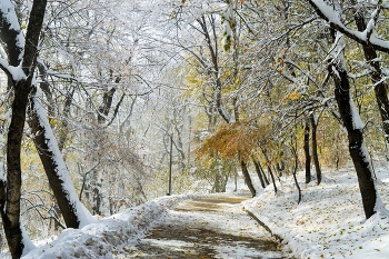 Осенние причуды...... / Железноводск. Ноябрь