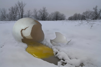 &nbsp; / желтое на белом