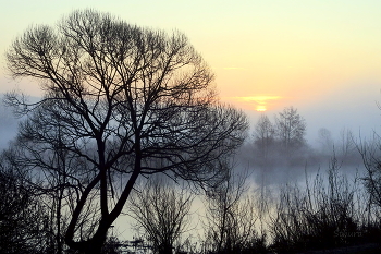 Середина апреля. / Весенний рассвет. Озеро Сосновое.