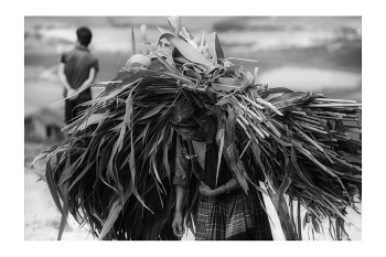 Рис, Люди и Образы Вьетнама / &quot;Rice&amp;Icon of Vietnam&quot; B&amp;W art photo project