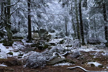 Зимняя сказка. / Зима,лес,зимняя сказка,снег