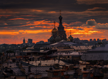 Крыши Санкт-Петербурга / Санкт-Петербург