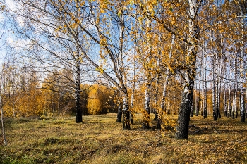 &nbsp; / с.Бишня,Татарстан.Зеленодольский р-он