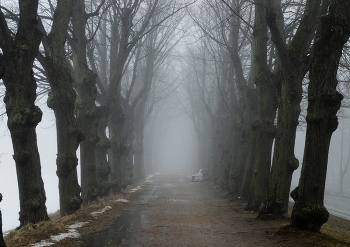 В аллеях весенних......... / Петергоф. Красный пруд. Март