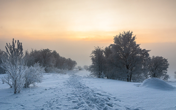 холодно / на сопках Мурманска
