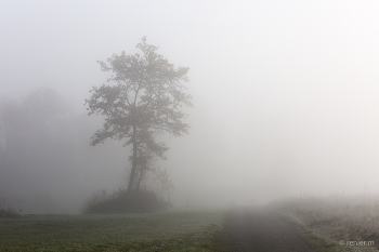 &nbsp; / ein Weg der in die Nebelwand führt