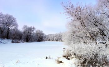 Утро в инее / Утро в инее