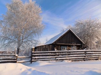 Зимнее одиночество / Томская область, село