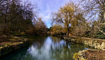 В &quot;зимнем&quot; парке / Крым, Симферополь. Январь. Вот такая крымская зима в этом году