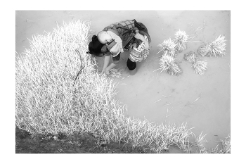 Рис, Люди и Образы Вьетнама / "Rice&Icon of Vietnam" B&W art photo project