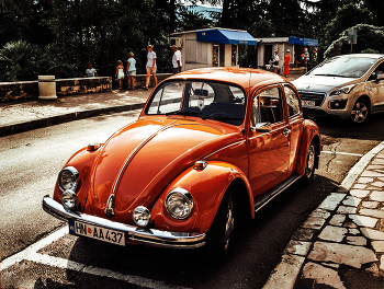Volkswagen Beetle / Volkswagen Beetle