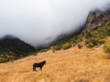Осень в Ингушетии / Осень пришла в Ингушетию.