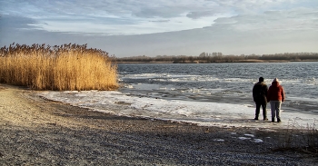 Ледниковый период / ...