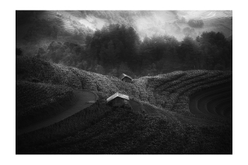 Рис, Люди и Образы Вьетнама / "Rice&Icon of Vietnam" B&W art photo project