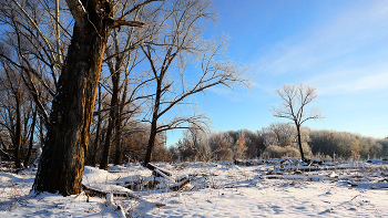 Ясный день / ***