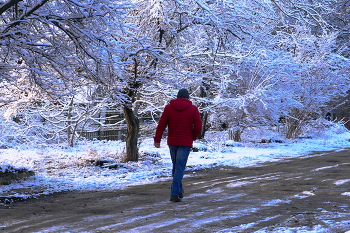 Первый долгожданный снег / Дожди закончились ночным снегопадом и небольшим морозом.Рано утром по гололёду ходить очень трудно...К обеду снег стаял
